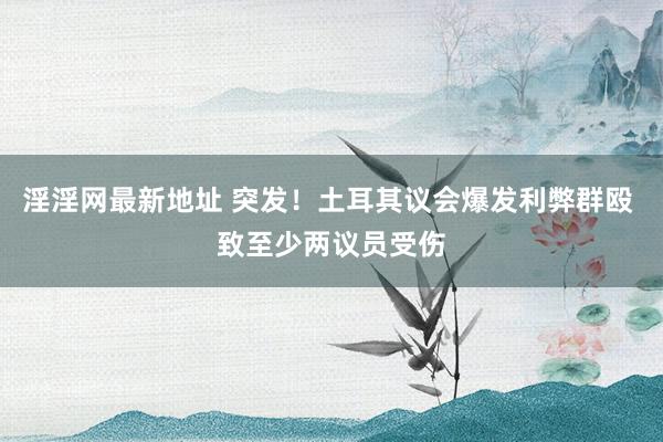 淫淫网最新地址 突发！土耳其议会爆发利弊群殴 致至少两议员受伤