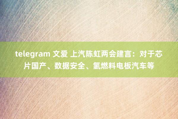 telegram 文爱 上汽陈虹两会建言：对于芯片国产、数据安全、氢燃料电板汽车等