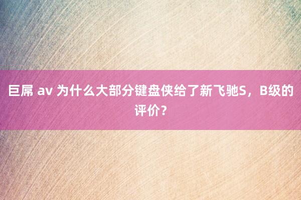 巨屌 av 为什么大部分键盘侠给了新飞驰S，B级的评价？