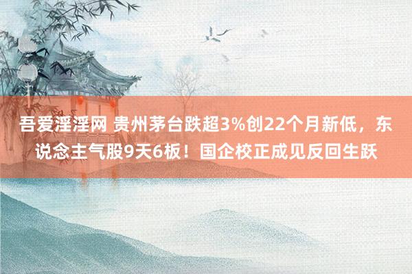 吾爱淫淫网 贵州茅台跌超3%创22个月新低，东说念主气股9天6板！国企校正成见反回生跃