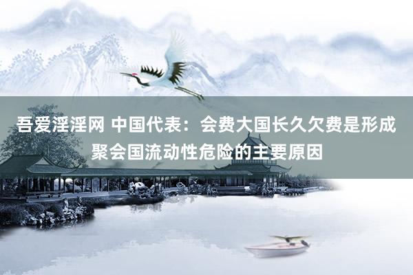 吾爱淫淫网 中国代表：会费大国长久欠费是形成聚会国流动性危险的主要原因