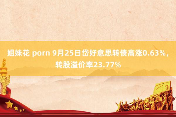 姐妹花 porn 9月25日岱好意思转债高涨0.63%，转股溢价率23.77%