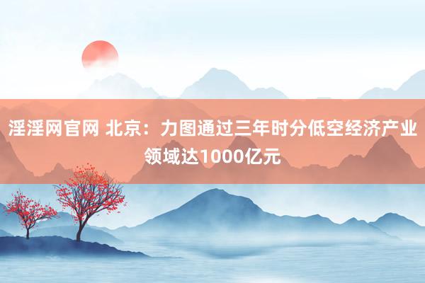 淫淫网官网 北京：力图通过三年时分低空经济产业领域达1000亿元