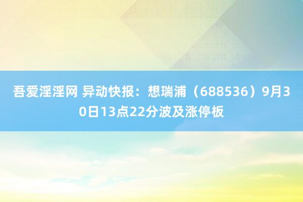 吾爱淫淫网 异动快报：想瑞浦（688536）9月30日13点22分波及涨停板