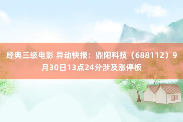 经典三级电影 异动快报：鼎阳科技（688112）9月30日13点24分涉及涨停板