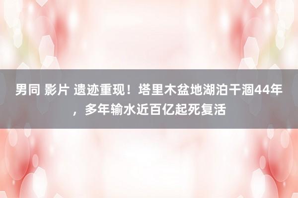 男同 影片 遗迹重现！塔里木盆地湖泊干涸44年，多年输水近百亿起死复活