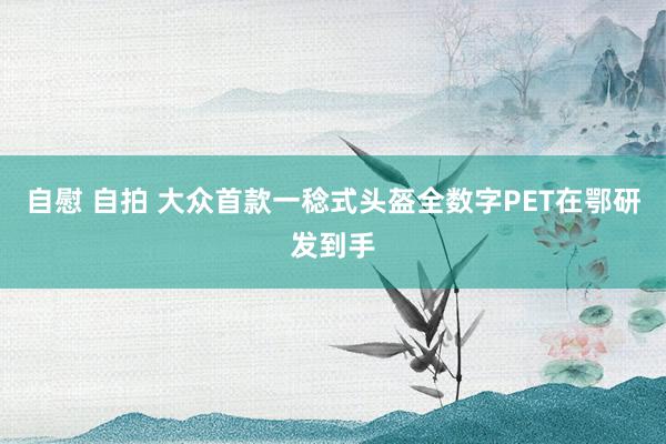 自慰 自拍 大众首款一稔式头盔全数字PET在鄂研发到手