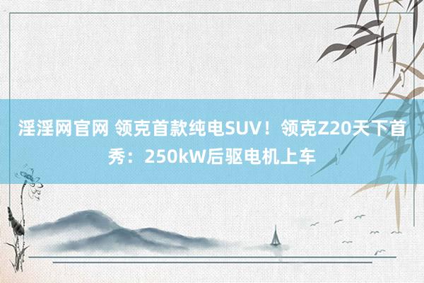 淫淫网官网 领克首款纯电SUV！领克Z20天下首秀：250kW后驱电机上车