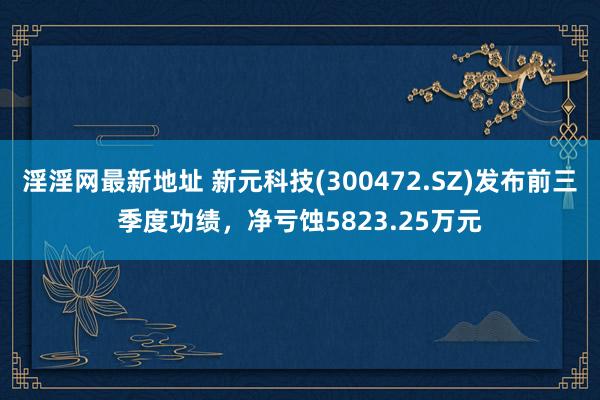 淫淫网最新地址 新元科技(300472.SZ)发布前三季度功绩，净亏蚀5823.25万元