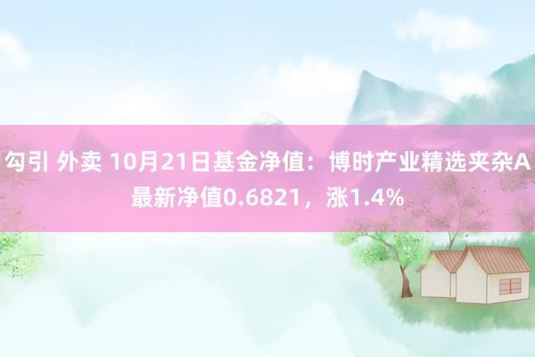 勾引 外卖 10月21日基金净值：博时产业精选夹杂A最新净值0.6821，涨1.4%