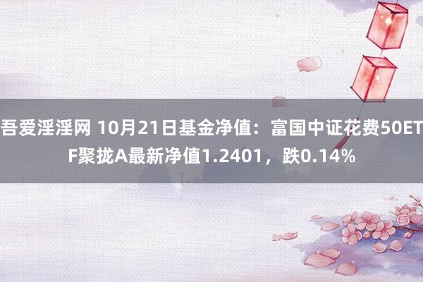 吾爱淫淫网 10月21日基金净值：富国中证花费50ETF聚拢A最新净值1.2401，跌0.14%