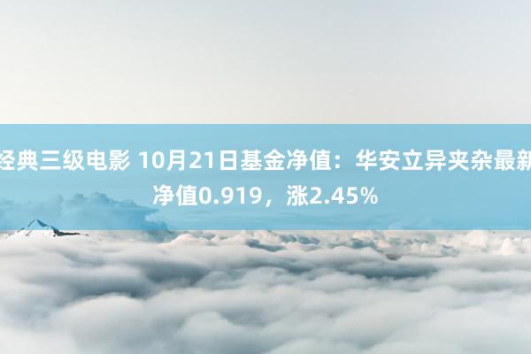 经典三级电影 10月21日基金净值：华安立异夹杂最新净值0.919，涨2.45%