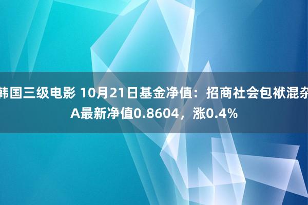 韩国三级电影 10月21日基金净值：招商社会包袱混杂A最新净值0.8604，涨0.4%