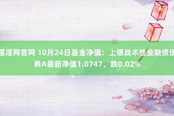 淫淫网官网 10月24日基金净值：上银战术性金融债债券A最新净值1.0747，跌0.02%