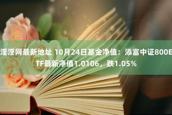 淫淫网最新地址 10月24日基金净值：添富中证800ETF最新净值1.0106，跌1.05%