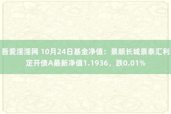 吾爱淫淫网 10月24日基金净值：景顺长城景泰汇利定开债A最新净值1.1936，跌0.01%