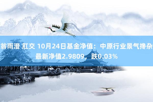 翁雨澄 肛交 10月24日基金净值：中原行业景气搀杂最新净值2.9809，跌0.03%