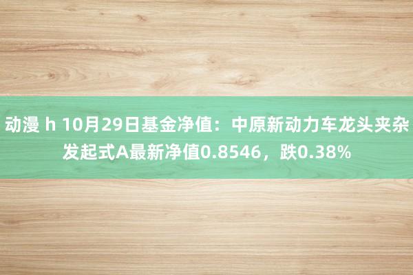 动漫 h 10月29日基金净值：中原新动力车龙头夹杂发起式A最新净值0.8546，跌0.38%