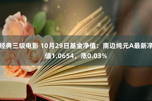 经典三级电影 10月29日基金净值：南边纯元A最新净值1.0654，涨0.03%