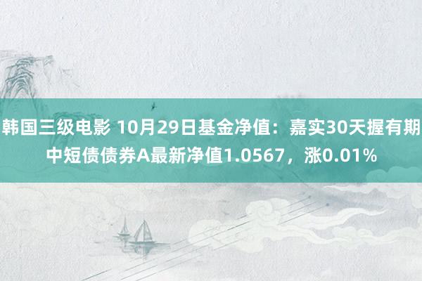 韩国三级电影 10月29日基金净值：嘉实30天握有期中短债债券A最新净值1.0567，涨0.01%