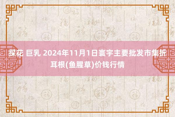 探花 巨乳 2024年11月1日寰宇主要批发市集折耳根(鱼腥草)价钱行情