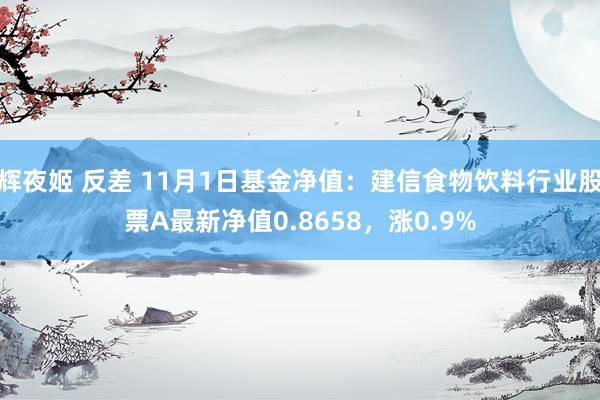 辉夜姬 反差 11月1日基金净值：建信食物饮料行业股票A最新净值0.8658，涨0.9%