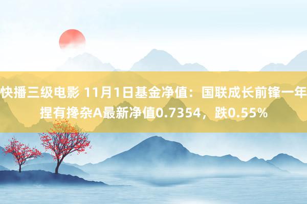 快播三级电影 11月1日基金净值：国联成长前锋一年捏有搀杂A最新净值0.7354，跌0.55%