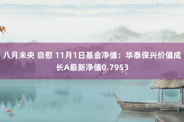 八月未央 自慰 11月1日基金净值：华泰保兴价值成长A最新净值0.7953