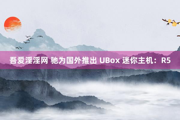 吾爱淫淫网 驰为国外推出 UBox 迷你主机：R5