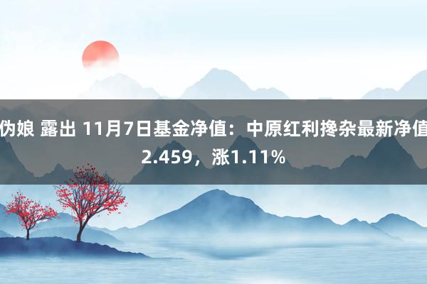 伪娘 露出 11月7日基金净值：中原红利搀杂最新净值2.459，涨1.11%