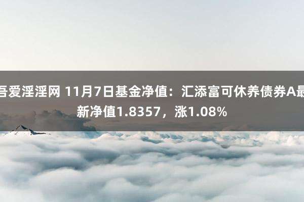 吾爱淫淫网 11月7日基金净值：汇添富可休养债券A最新净值1.8357，涨1.08%