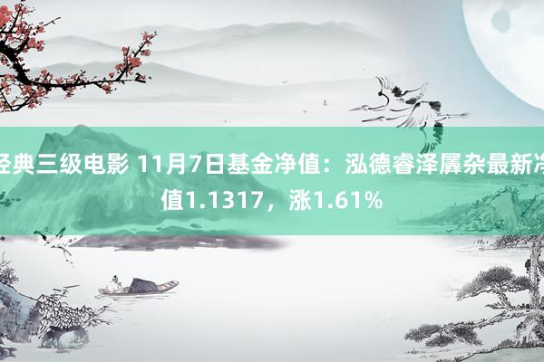 经典三级电影 11月7日基金净值：泓德睿泽羼杂最新净值1.1317，涨1.61%