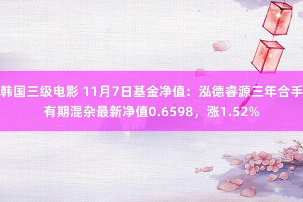 韩国三级电影 11月7日基金净值：泓德睿源三年合手有期混杂最新净值0.6598，涨1.52%