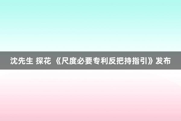 沈先生 探花 《尺度必要专利反把持指引》发布