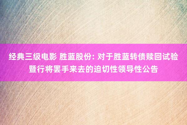 经典三级电影 胜蓝股份: 对于胜蓝转债赎回试验暨行将罢手来去的迫切性领导性公告