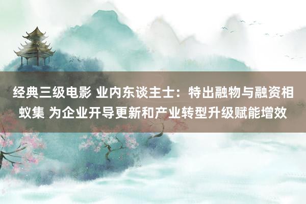 经典三级电影 业内东谈主士：特出融物与融资相蚁集 为企业开导更新和产业转型升级赋能增效