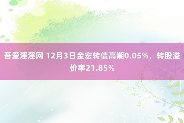 吾爱淫淫网 12月3日金宏转债高潮0.05%，转股溢价率21.85%