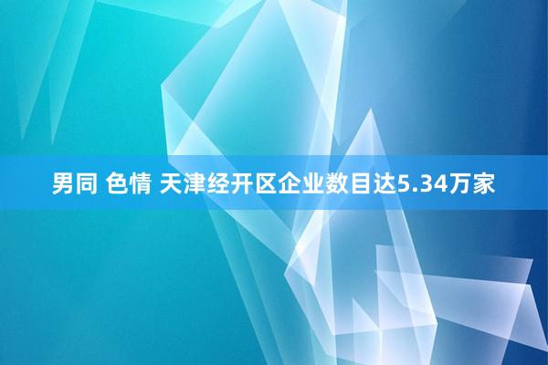 男同 色情 天津经开区企业数目达5.34万家