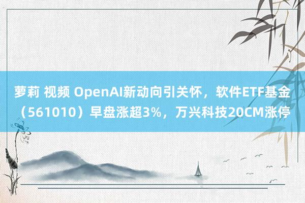 萝莉 视频 OpenAI新动向引关怀，软件ETF基金（561010）早盘涨超3%，万兴科技20CM涨停