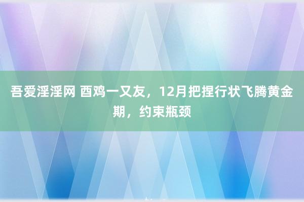 吾爱淫淫网 酉鸡一又友，12月把捏行状飞腾黄金期，约束瓶颈