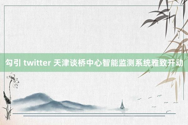 勾引 twitter 天津谈桥中心智能监测系统雅致开动