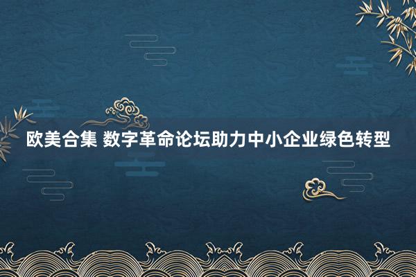 欧美合集 数字革命论坛助力中小企业绿色转型