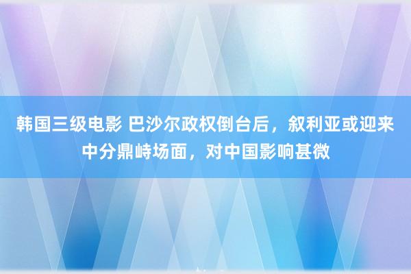 韩国三级电影 巴沙尔政权倒台后，叙利亚或迎来中分鼎峙场面，对中国影响甚微