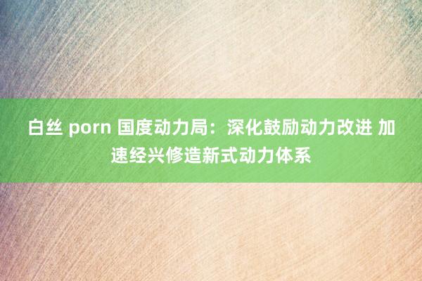 白丝 porn 国度动力局：深化鼓励动力改进 加速经兴修造新式动力体系