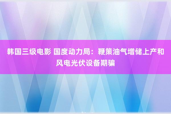 韩国三级电影 国度动力局：鞭策油气增储上产和风电光伏设备期骗