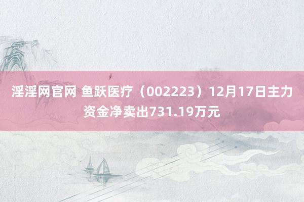 淫淫网官网 鱼跃医疗（002223）12月17日主力资金净卖出731.19万元