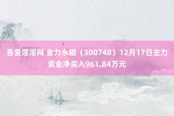 吾爱淫淫网 金力永磁（300748）12月17日主力资金净买入961.84万元