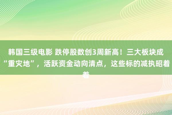 韩国三级电影 跌停股数创3周新高！三大板块成“重灾地”，活跃资金动向清点，这些标的减执昭着