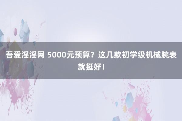 吾爱淫淫网 5000元预算？这几款初学级机械腕表就挺好！