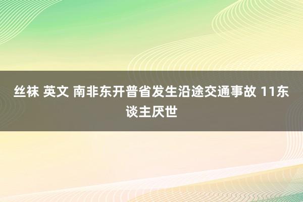 丝袜 英文 南非东开普省发生沿途交通事故 11东谈主厌世